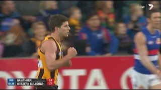 AFL 2014 Round 19  Hawthorn highlights vs Western Bulldogs [upl. by Moira]