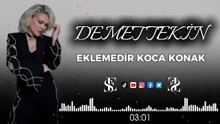 Demet Tekin  Eklemedir Koca Konak  Emrah Sarıca Remix  demettekin türkçemüzik remix [upl. by Ali744]