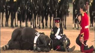 Beating Retreat 2013 The Household Cavalry Mounted Band [upl. by Aseena414]