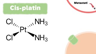 Mechanism of Cisplatin  Chemotherapy [upl. by Aisile]