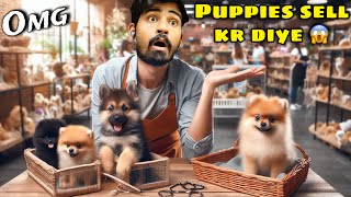 Kitne puppies bache 🫣l Itne sare puppies 😱 OMG 😍 l pomeranian or German shapherd puppies ka lott [upl. by Aerdna]