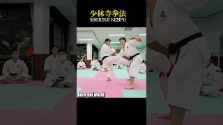 Groin Kick of Shorinji Kempo [upl. by Dusa]