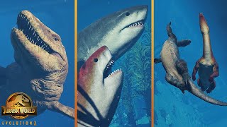 All Aquatic Species Social Animations In Jurassic World Evolution 2 Megalodon Update [upl. by Gehman]