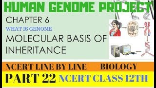 PART22HUMAN GENOME PROJECTCHAPTER 6 NCERT CLASS 12TH BIOLOGY [upl. by Annaear]