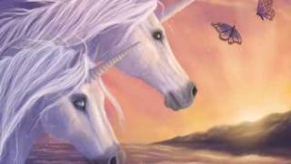 The Last Unicorn  Groove Coverage [upl. by Halonna]