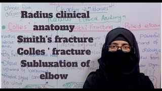 Clinical anatomy of radius Colles fracture smiths fracture subluxation of elbow bd churasia [upl. by Salohcim]