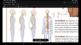 UE1 Semiologie Respiratoire  Les signes physiques  Part 1 Inspection [upl. by Ellak]