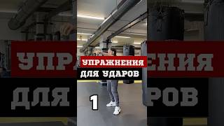 learntobox howto boxning boksing box бокс fy тренировка trening workout [upl. by Eatnuhs641]