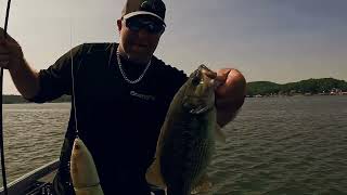 Lake of the Ozarks 22 12 pound bag Glide bait fishing September 2024 [upl. by Anitsyrc]