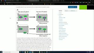 ImageJFIJI plugin Semiautomatic cellbycell objectbased colocalization analysis  PART 1 [upl. by Irmo]