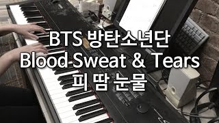 BTS 방탄소년단  피 땀 눈물 Blood Sweat amp Tears Piano Cover 피아노 커버 [upl. by Yrrad509]