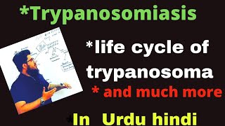 trypanosomiasis and life cycle of trypanosoma In urdu hindi sleeping sickness [upl. by Ardekal]