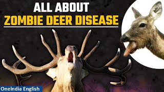 Chronic Wasting Disease What is Prion Can zombie deer disease spread  Explained  Oneindia News [upl. by Portugal833]