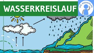 Wasserkreislauf  Begriff Ablauf Prozesse amp Globaler Kreislauf einfach erklärt  Ökologie  Bio [upl. by Jauch]