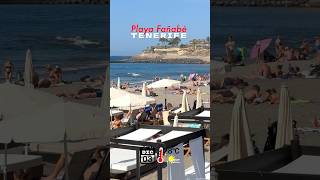 Tenerife  playas Fañabé y Torviscas Costa Adeje 03122024 28°C ☀️🏖️ canaritainfo tenerife [upl. by Eelhsa]