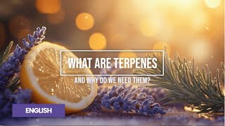 What Are Terpenes Discover the Power of Terpenes  Valentus Global [upl. by Aicyle]