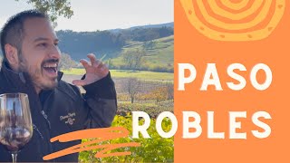 Sommelier Reviews BEST Paso Robles Wineries [upl. by Dj922]