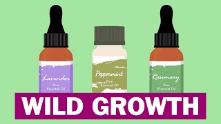 Best 6 Essential Oils For Hair Growth [upl. by Herbst]