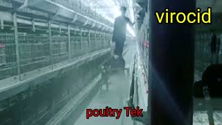 virocid fogging EC SHED Thermal fogging Poultry House zuevets [upl. by Dash321]