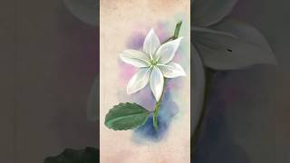 How to paint a white flower in watercolor style digitally happypainting botanicalillustration [upl. by Orland]