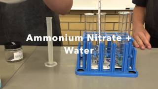 Endothermic and Exothermic Reactions [upl. by Acinhoj]