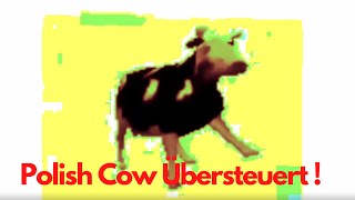 Polish Cow Übersteuert [upl. by Ailehc]