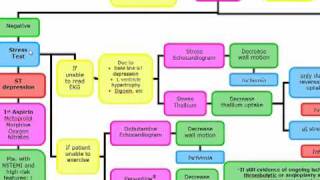 USMLE ALGORITHMS CHEST PAIN [upl. by Mansur]