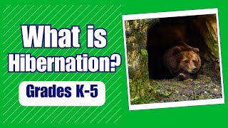 What is hibernation  More Grades 68 Science on Harmony Square [upl. by Anawit298]