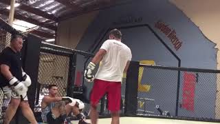 Tibor Nagy vs Ray Sefo Sparring Highlights [upl. by Atilam908]