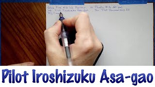 Pilot Iroshizuku Asagao [upl. by Marylinda]