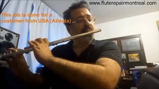 Muramatsu Flute Ex 029  Play test [upl. by Ardnekahs439]