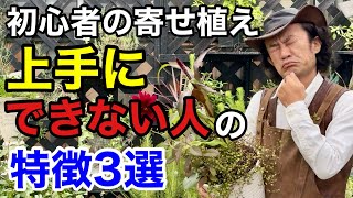 あなたの寄せ植えがたったこれだけで驚くほど綺麗に見せられます 【カーメン君】【園芸】【ガーデニング】【初心者】 [upl. by Punak34]