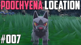 How to Catch Poochyena  Pokémon Scarlet amp Violet DLC [upl. by Eirameinna838]