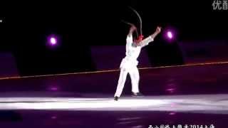 Johnny Weir  quotWhen Love Is Gonequot  Artistry on Ice 2014Shanghai [upl. by Airamat]