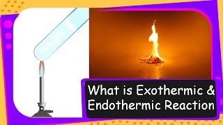 Science – What are Exothermic and Endothermic Reactions – Reaction Types Part 3 – English [upl. by Aidroc]