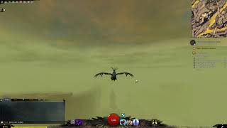 Guild Wars 2 Open Skies The Desolation collection  Pale Canyon Griffon Egg [upl. by Ylyl]