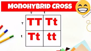 Monohybrid cross and the Punnett square [upl. by Asher]