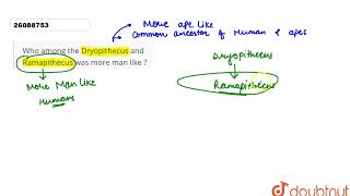 Who among the Drypithecus and Ramapithecus was more man like [upl. by Nemrak720]