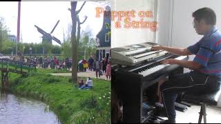 🪆Puppet On A String 🪆  cover   piano amp keyboard music  organist way of playing [upl. by Garett]