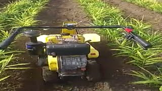 Automatic Work Kisankraft 6HP 350D Power Weeder in Ginger Field Shorts [upl. by Ellebyam]