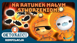 Oktonauci  🐡 Na ratunek małym stworzeniom 🪸  Kompilacja  Całe odcinki [upl. by Nitsuga696]