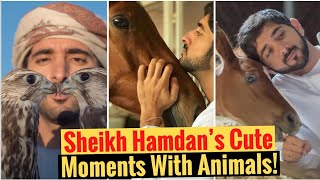 Sheikh Hamdan’s Cute Moments With Animals  Sheikh Hamdan  Fazza  Crown Prince Of Dubai [upl. by Egan]