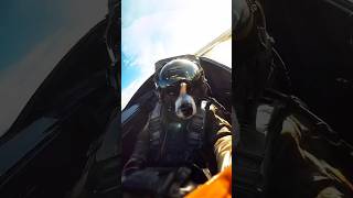 Dog Air Force airforce specialforces dog ai fyp [upl. by Macguiness]