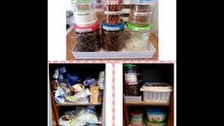 Budget Organizing Kitchen Cabinet  99 CENTS ONLY store [upl. by Binnings25]