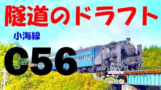 隧道に響くドラフト小海線C56～Echoes of the Draft C56 on the Koumi Lines Tunnels [upl. by Ellehcar]