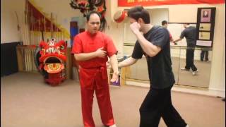 Choy Lee Fut Techniques 6 [upl. by Aiela]