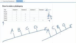 Practice with Phylogenies [upl. by Ardnasil]