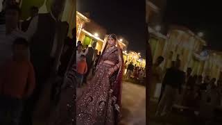 Bhool bhulaiyaa3dulhandanceweddingviraltrendingshortsvideoreelsshaadihaldisangeetads🔥🔥🔥 [upl. by Anilegnave]