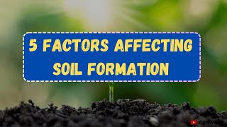 5 Factors Affecting Soil Formation  Soil Forming Factors [upl. by Letnuahs]