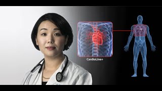 Dr Kanae Mukai  Auto Scan Assist CardioLine  Productivity [upl. by Aiki]